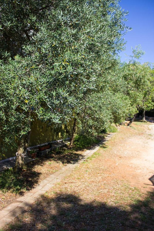 Bilini Garden Apartment Pula Exterior foto